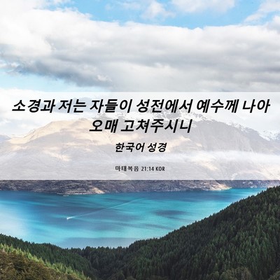 Picture 06 - 마태복음 21:14 KOR - 소경과 저는 자들이 성전에서 예수께 - Bible Verse Picture
