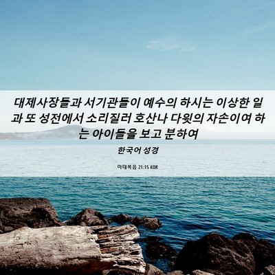 Picture 06 - 마태복음 21:15 KOR - 대제사장들과 서기관들이 예수의 - Bible Verse Picture