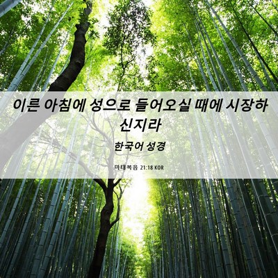 Picture 06 - 마태복음 21:18 KOR - 이른 아침에 성으로 들어오실 때에 - Bible Verse Picture