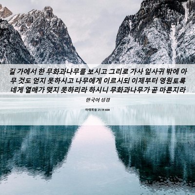 Picture 06 - 마태복음 21:19 KOR - 길 가에서 한 무화과나무를 보시고 - Bible Verse Picture