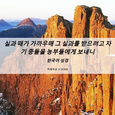 Picture 06 - 마태복음 21:34 KOR - 실과 때가 가까우매 그 실과를 - Bible Verse Picture