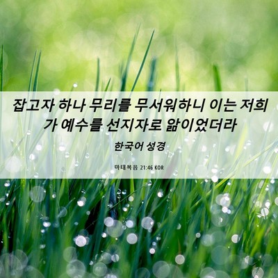 Picture 06 - 마태복음 21:46 KOR - 잡고자 하나 무리를 무서워하니 이는 - Bible Verse Picture