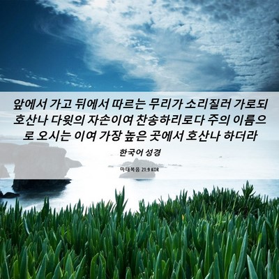 Picture 06 - 마태복음 21:9 KOR - 앞에서 가고 뒤에서 따르는 무리가 - Bible Verse Picture