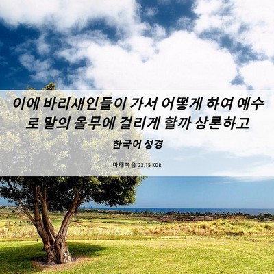 Picture 06 - 마태복음 22:15 KOR - 이에 바리새인들이 가서 어떻게 하여 - Bible Verse Picture