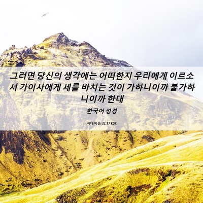 Picture 06 - 마태복음 22:17 KOR - 그러면 당신의 생각에는 어떠한지 - Bible Verse Picture