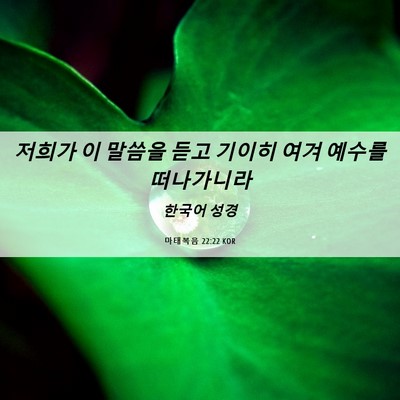 Picture 06 - 마태복음 22:22 KOR - 저희가 이 말씀을 듣고 기이히 여겨 - Bible Verse Picture