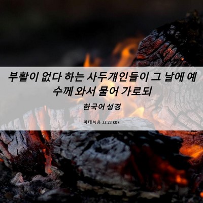 Picture 06 - 마태복음 22:23 KOR - 부활이 없다 하는 사두개인들이 그 - Bible Verse Picture