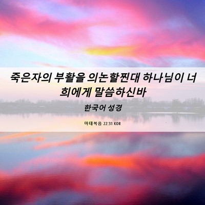 Picture 06 - 마태복음 22:31 KOR - 죽은자의 부활을 의논할찐대 - Bible Verse Picture