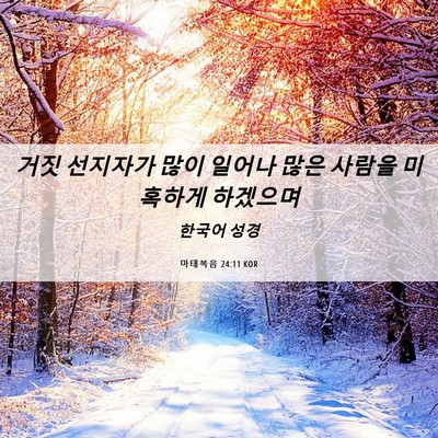 Picture 06 - 마태복음 24:11 KOR - 거짓 선지자가 많이 일어나 많은 - Bible Verse Picture