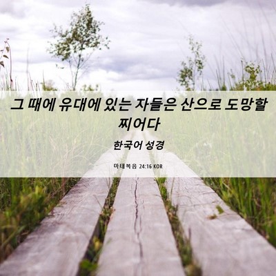 Picture 06 - 마태복음 24:16 KOR - 그 때에 유대에 있는 자들은 산으로 - Bible Verse Picture
