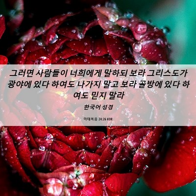 Picture 06 - 마태복음 24:26 KOR - 그러면 사람들이 너희에게 말하되 - Bible Verse Picture