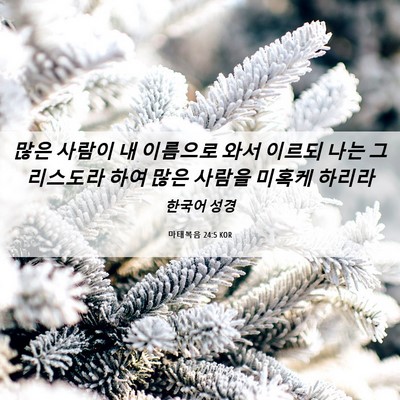 Picture 06 - 마태복음 24:5 KOR - 많은 사람이 내 이름으로 와서 - Bible Verse Picture