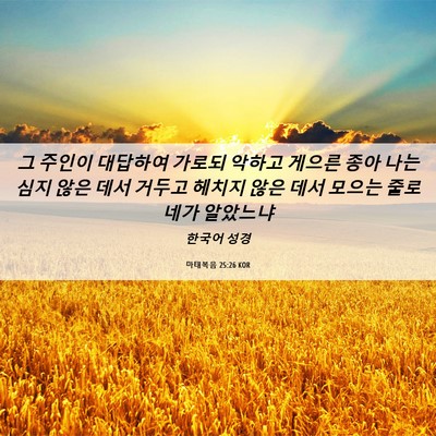 Picture 06 - 마태복음 25:26 KOR - 그 주인이 대답하여 가로되 악하고 - Bible Verse Picture
