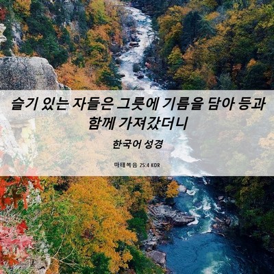 Picture 06 - 마태복음 25:4 KOR - 슬기 있는 자들은 그릇에 기름을 - Bible Verse Picture