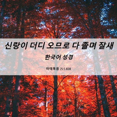 Picture 06 - 마태복음 25:5 KOR - 신랑이 더디 오므로 다 졸며 - Bible Verse Picture