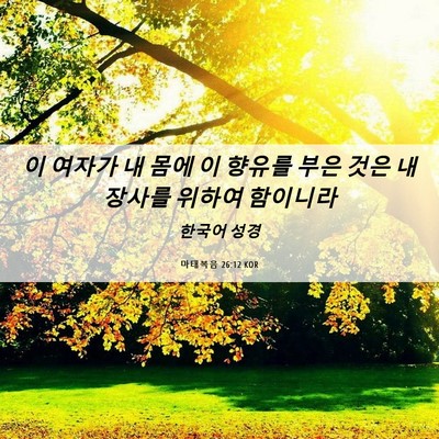 Picture 06 - 마태복음 26:12 KOR - 이 여자가 내 몸에 이 향유를 부은 - Bible Verse Picture