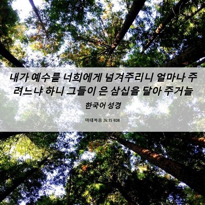 Picture 06 - 마태복음 26:15 KOR - 내가 예수를 너희에게 넘겨주리니 - Bible Verse Picture