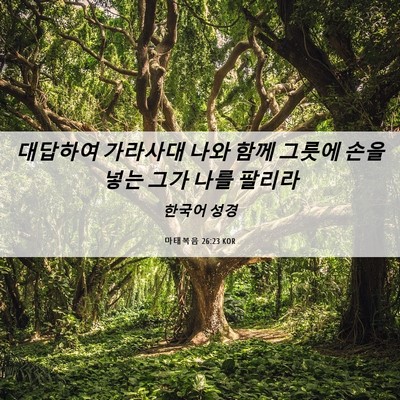 Picture 06 - 마태복음 26:23 KOR - 대답하여 가라사대 나와 함께 그릇에 - Bible Verse Picture