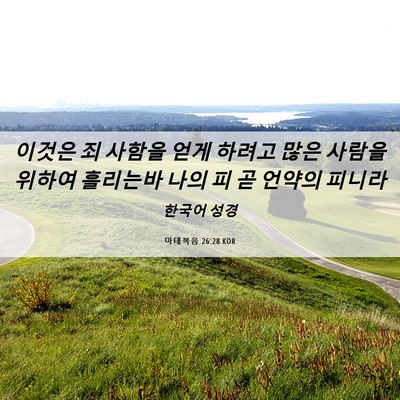 Picture 06 - 마태복음 26:28 KOR - 이것은 죄 사함을 얻게 하려고 많은 - Bible Verse Picture