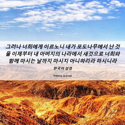 Picture 06 - 마태복음 26:29 KOR - 그러나 너희에게 이르노니 내가 - Bible Verse Picture