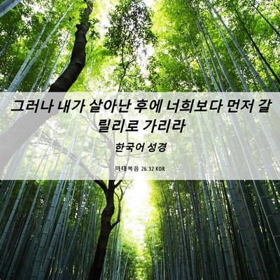 Picture 06 - 마태복음 26:32 KOR - 그러나 내가 살아난 후에 너희보다 - Bible Verse Picture