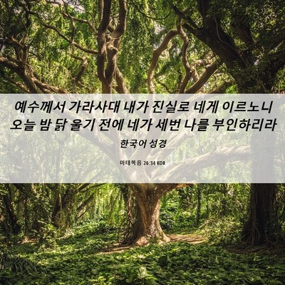 Picture 06 - 마태복음 26:34 KOR - 예수께서 가라사대 내가 진실로 네게 - Bible Verse Picture