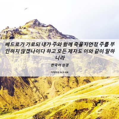 Picture 06 - 마태복음 26:35 KOR - 베드로가 가로되 내가 주와 함께 - Bible Verse Picture