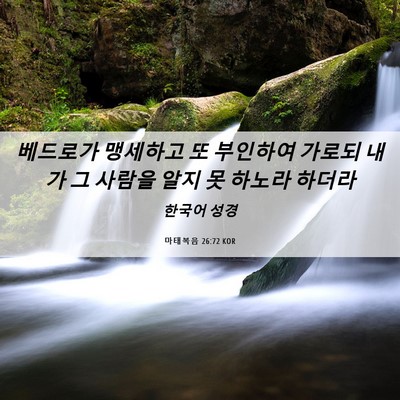 Picture 06 - 마태복음 26:72 KOR - 베드로가 맹세하고 또 부인하여 - Bible Verse Picture