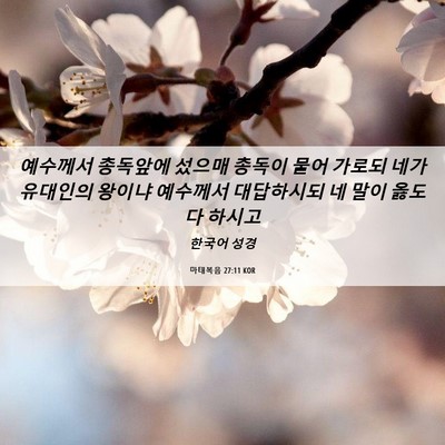 Picture 06 - 마태복음 27:11 KOR - 예수께서 총독앞에 섰으매 총독이 - Bible Verse Picture