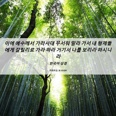 Picture 06 - 마태복음 28:10 KOR - 이에 예수께서 가라사대 무서워 말라 - Bible Verse Picture