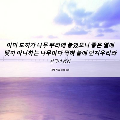 Picture 06 - 마태복음 3:10 KOR - 이미 도끼가 나무 뿌리에 놓였으니 - Bible Verse Picture