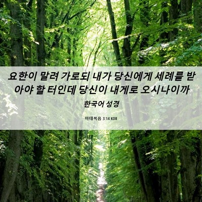 Picture 06 - 마태복음 3:14 KOR - 요한이 말려 가로되 내가 당신에게 - Bible Verse Picture