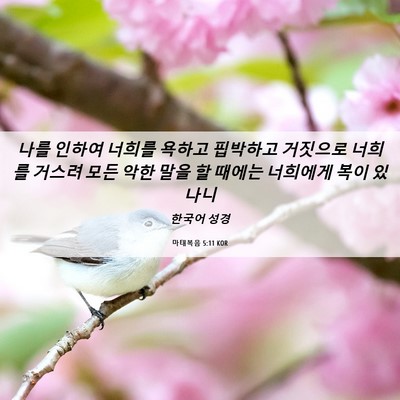 Picture 06 - 마태복음 5:11 KOR - 나를 인하여 너희를 욕하고 핍박하고 - Bible Verse Picture