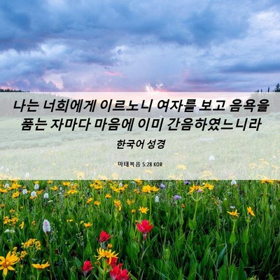 Picture 06 - 마태복음 5:28 KOR - 나는 너희에게 이르노니 여자를 보고 - Bible Verse Picture