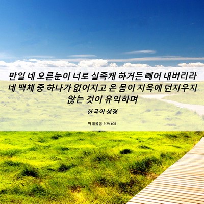 Picture 06 - 마태복음 5:29 KOR - 만일 네 오른눈이 너로 실족케 - Bible Verse Picture