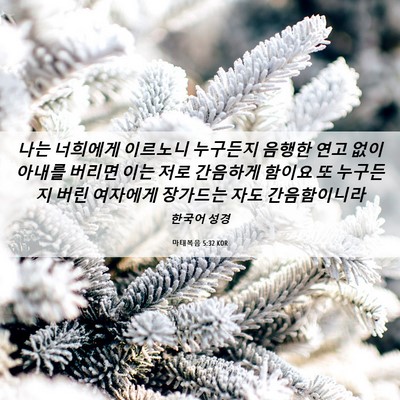 Picture 06 - 마태복음 5:32 KOR - 나는 너희에게 이르노니 누구든지 - Bible Verse Picture