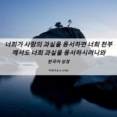 Picture 06 - 마태복음 6:14 KOR - 너희가 사람의 과실을 용서하면 너희 - Bible Verse Picture
