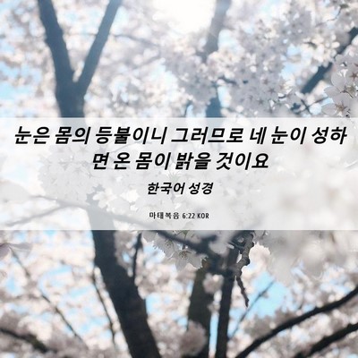 Picture 06 - 마태복음 6:22 KOR - 눈은 몸의 등불이니 그러므로 네 - Bible Verse Picture