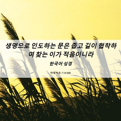 Picture 06 - 마태복음 7:14 KOR - 생명으로 인도하는 문은 좁고 길이 - Bible Verse Picture