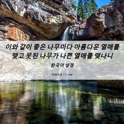 Picture 06 - 마태복음 7:17 KOR - 이와 같이 좋은 나무마다 아름다운 - Bible Verse Picture