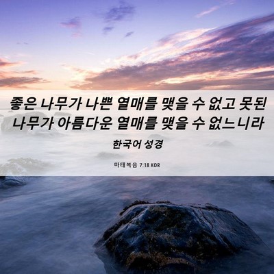 Picture 06 - 마태복음 7:18 KOR - 좋은 나무가 나쁜 열매를 맺을 수 - Bible Verse Picture