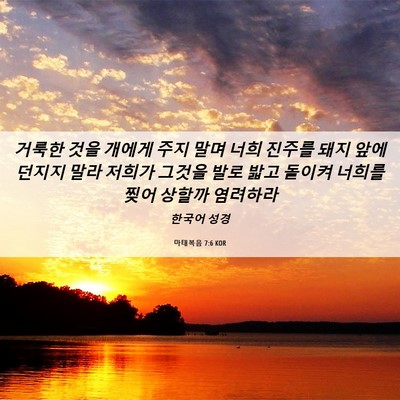 Picture 06 - 마태복음 7:6 KOR - 거룩한 것을 개에게 주지 말며 너희 - Bible Verse Picture