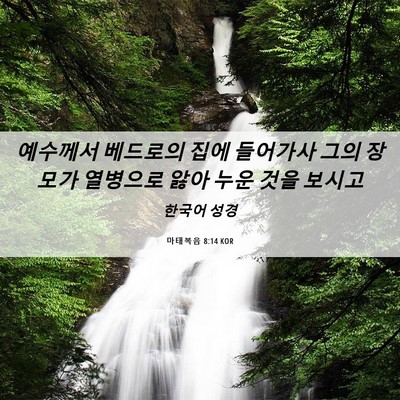Picture 06 - 마태복음 8:14 KOR - 예수께서 베드로의 집에 들어가사 - Bible Verse Picture