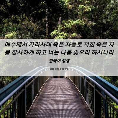 Picture 06 - 마태복음 8:22 KOR - 예수께서 가라사대 죽은 자들로 저희 - Bible Verse Picture