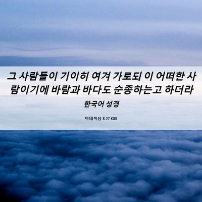Picture 06 - 마태복음 8:27 KOR - 그 사람들이 기이히 여겨 가로되 이 - Bible Verse Picture