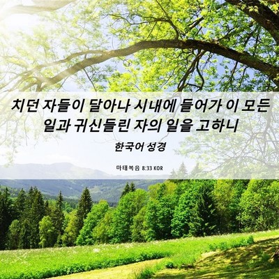 Picture 06 - 마태복음 8:33 KOR - 치던 자들이 달아나 시내에 들어가 - Bible Verse Picture