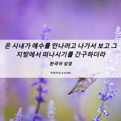 Picture 06 - 마태복음 8:34 KOR - 온 시내가 예수를 만나려고 나가서 - Bible Verse Picture