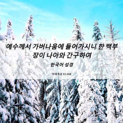 Picture 06 - 마태복음 8:5 KOR - 예수께서 가버나움에 들어가시니 한 - Bible Verse Picture