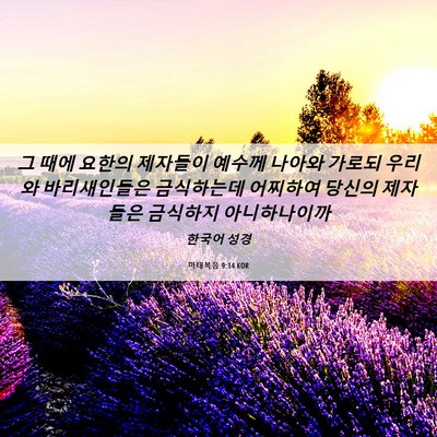 Picture 06 - 마태복음 9:14 KOR - 그 때에 요한의 제자들이 예수께 - Bible Verse Picture