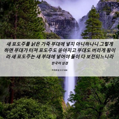 Picture 06 - 마태복음 9:17 KOR - 새 포도주를 낡은 가죽 부대에 넣지 - Bible Verse Picture